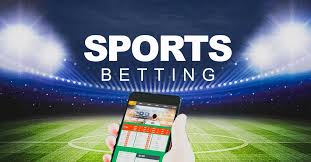 How to Bet on UFC Fights 47